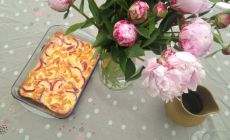 RECETTE à la farine de riz et sirop d’agave: Clafouti aux nectarines